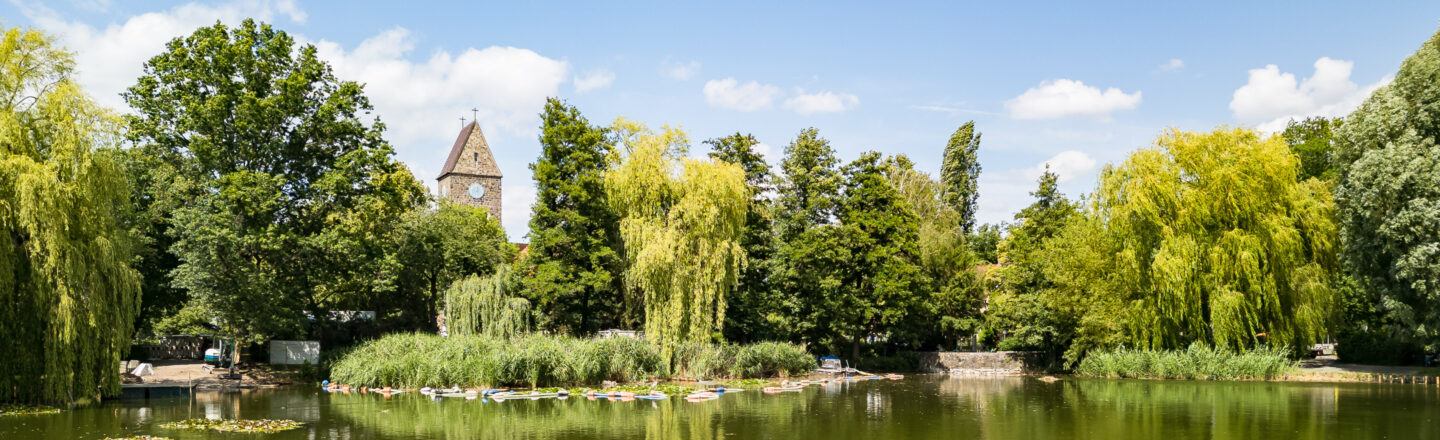 Ein malerischer Teich mit vielen Bäumen im Hintergrund, darunter Weiden und andere Laubbäume. Ein Uhrenturm ragt hinter den Bäumen hervor. Boote sind am Ufer des Teiches festgemacht, und der Himmel ist blau mit einigen Wolken.