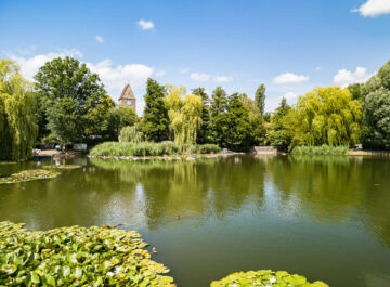 Ein malerischer Teich mit vielen Bäumen im Hintergrund, darunter Weiden und andere Laubbäume. Ein Uhrenturm ragt hinter den Bäumen hervor. Boote sind am Ufer des Teiches festgemacht, und der Himmel ist blau mit einigen Wolken.