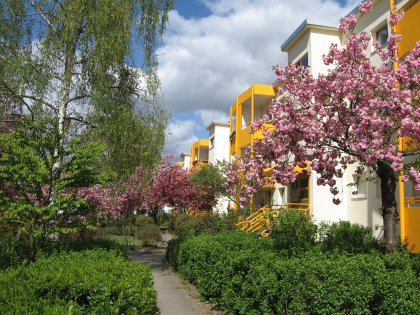 Straße "Am Heidebusch 11". Auf der rechten Seite befinden sich gelb-weiße Häuser und blühende Kirschblüten-Bäume.
