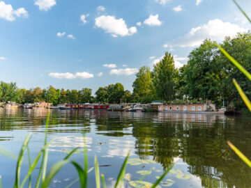 Idyllischer Fluss mit bunten Hausbooten am grünen Ufer, ruhiges Wasser spiegelt Bäume und Himmel, Schilf im Vordergrund, Sommerstimmung.