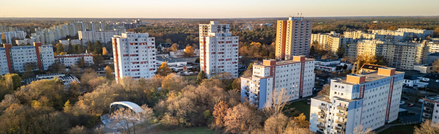 Luftaufnahme: mehrgeschossige Wohnhäuser umgeben von herbstlichen Bäumen in einem grünen Quartier.