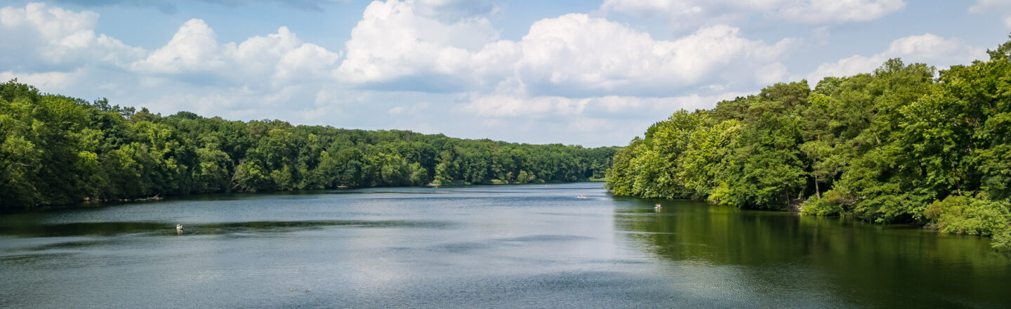 Das Bild zeigt einen ruhigen See umgeben von dichten grünen Wäldern. Mehrere kleine Boote befinden sich auf dem Wasser. Der Himmel ist stellenweise mit weißen, flauschigen Wolken bedeckt und es ist ein sonniger Tag. Die landschaftliche Szenerie vermittelt eine friedliche und natürliche Atmosphäre.