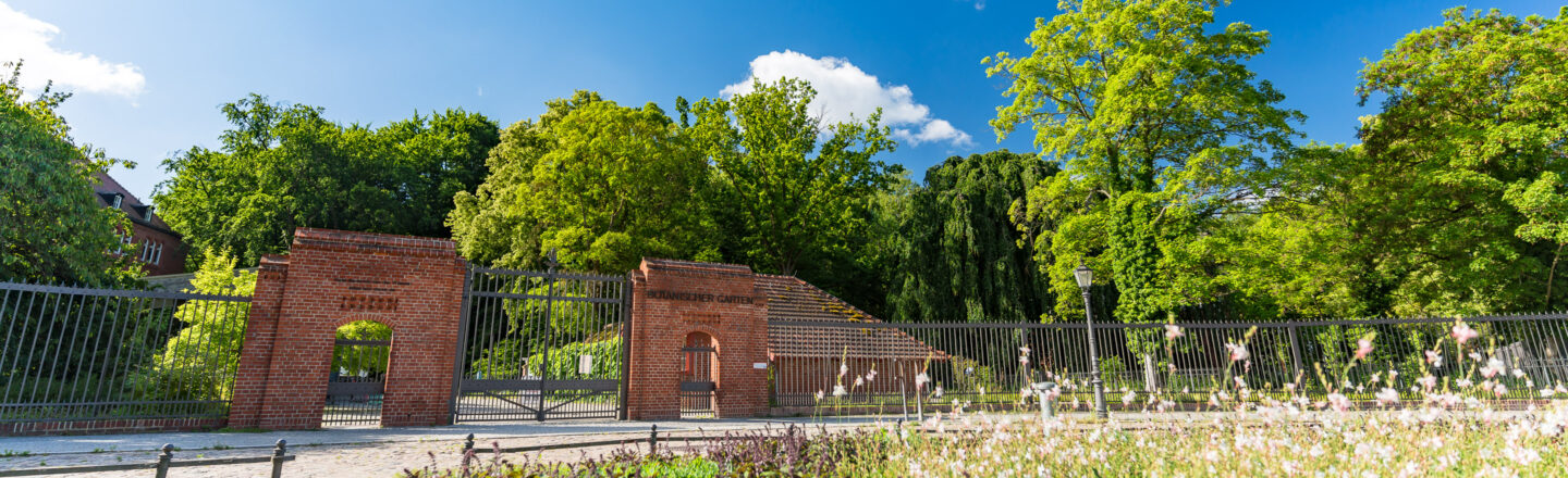 Das Bild zeigt den Eingang zum Botanischen Garten mit einem schmiedeeisernen Tor und einer roten Backsteinmauer. Umgeben von üppigem, grünem Laub und Bäumen. Der Himmel ist blau mit einigen weißen Wolken. Blumen wachsen vor dem Eingang, im Vordergrund zur Straße hin.