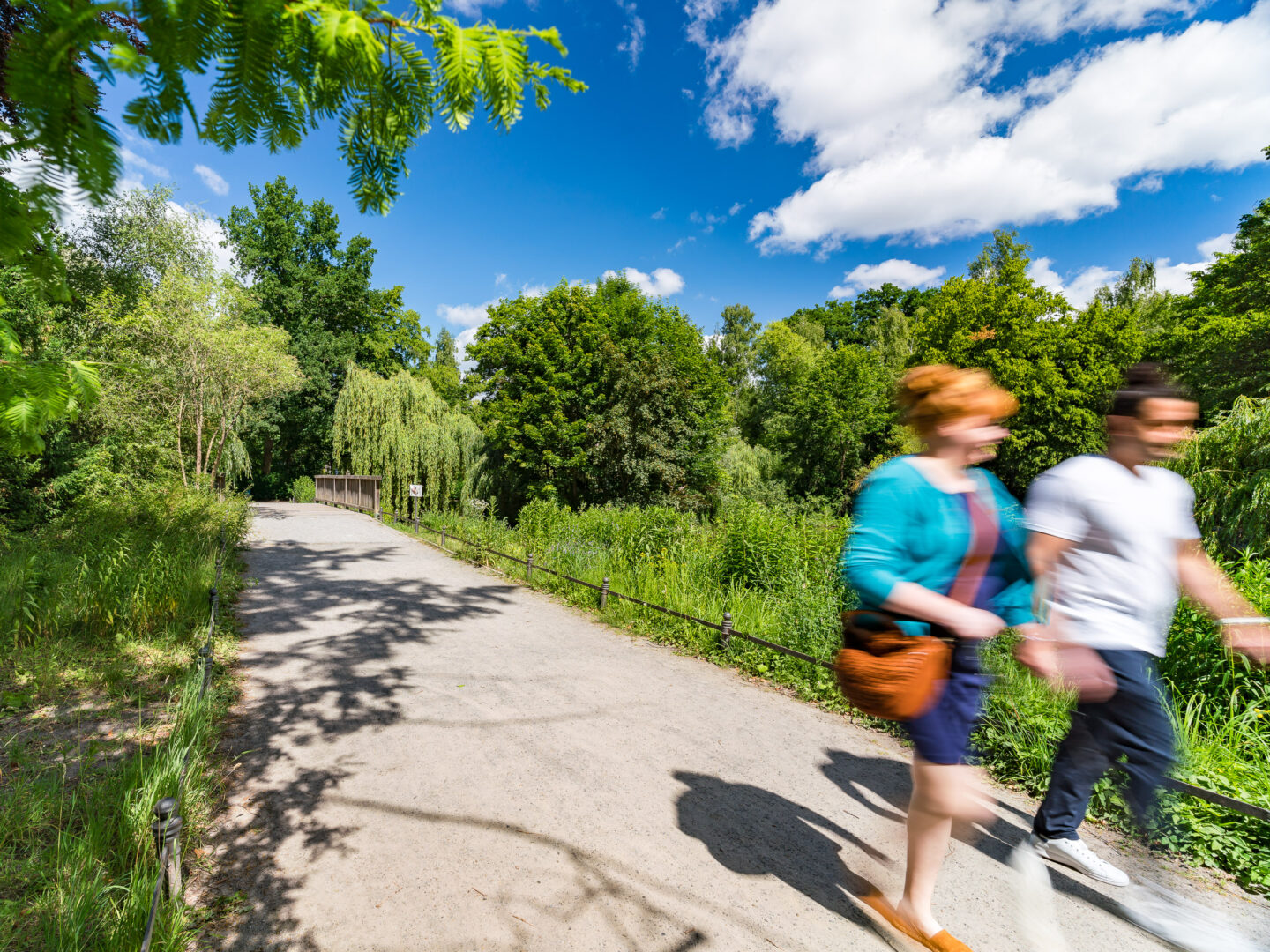 Ein sonniger Spazierweg in einem Park mit üppiger grüner Vegetation und hohen Bäumen umgeben. Der Himmel ist blau mit weißen Wolken. Im Bild sind zwei Personen beim Gehen erkennbar, deren Bewegungen verschwommen erscheinen. Rechts und links des Weges sind Grasflächen und ein kleiner Zaun sichtbar. Die Szene strahlt eine friedliche und lebendige Atmosphäre aus.