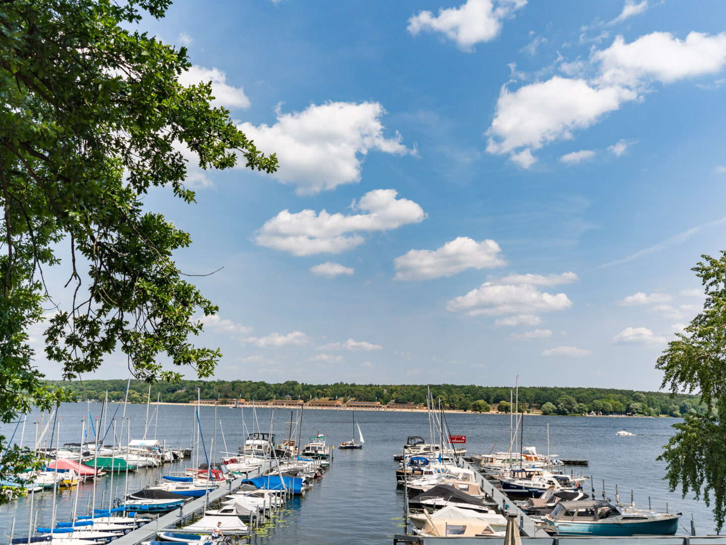 Das Bild zeigt einen kleinen Jachthafen am Wannsee in Berlin. Mehrere Boote und Yachten sind am Steg vertäut. Im Hintergrund erstreckt sich der ruhige See mit einer grünen bewaldeten Uferlinie. Links im Vordergrund hängt ein Ast mit grünen Blättern ins Bild hinein. Der Himmel ist blau und mit einigen weißen Wolken bedeckt.