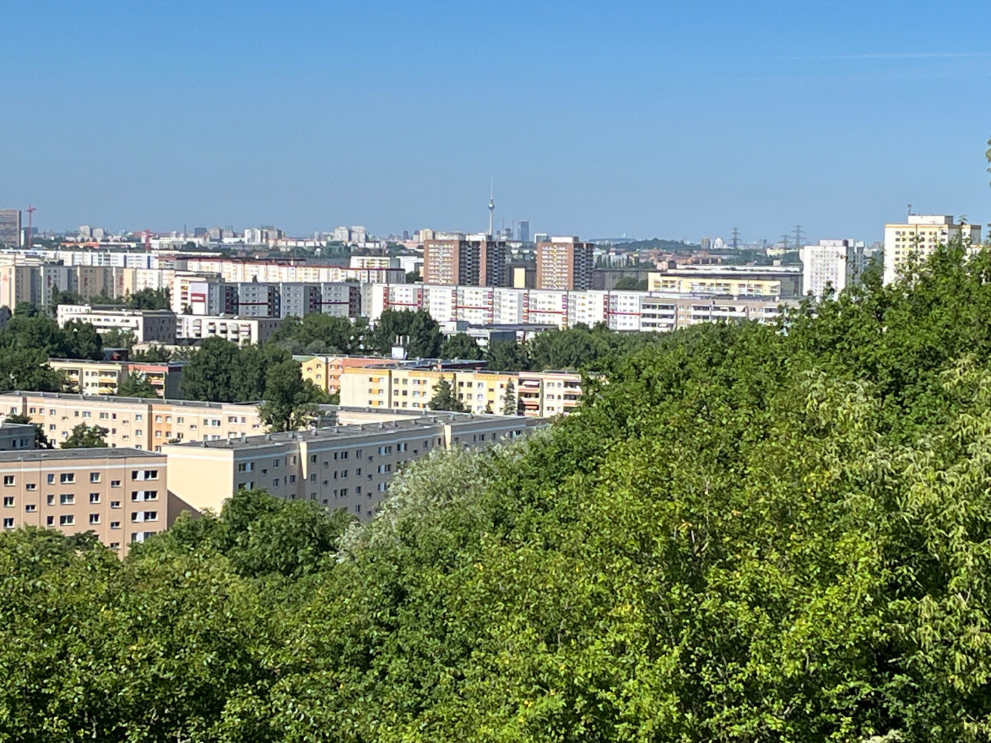 Blick über dichtes Grün auf ein großes Stadtviertel mit vielen Wohnblocks und Hochhäusern unter klarem, sonnigem Himmel.