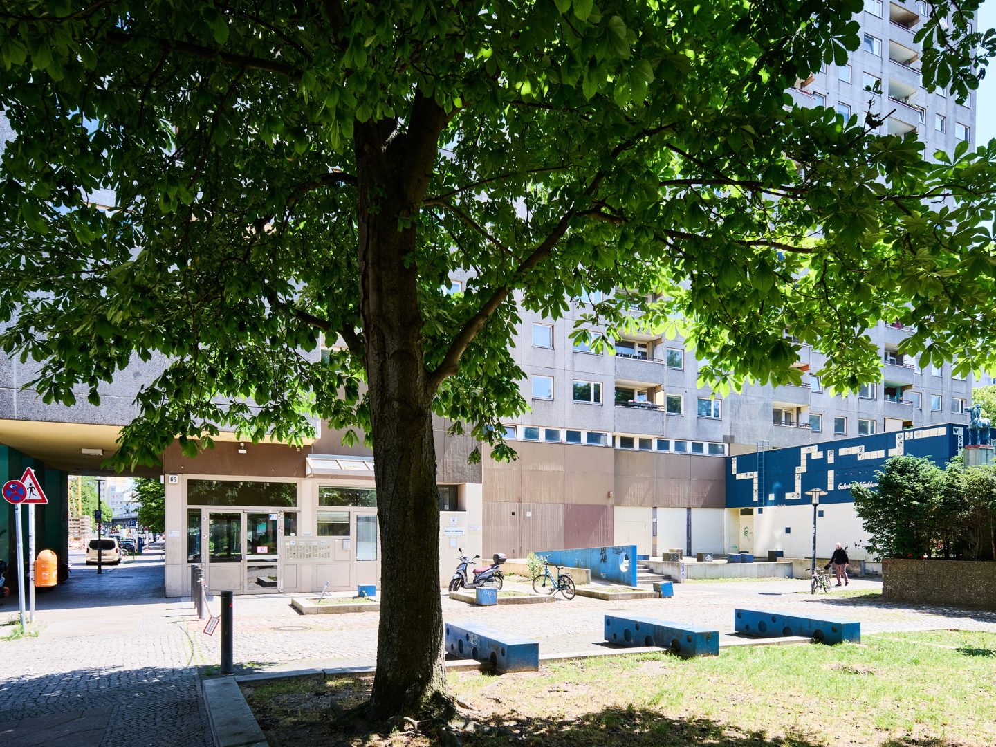 Großer schattenspendender Baum vor einem Platz mit Bänken und Fahrrädern, dahinter grauer Wohnblock mit Balkonen bei Sonnenschein.