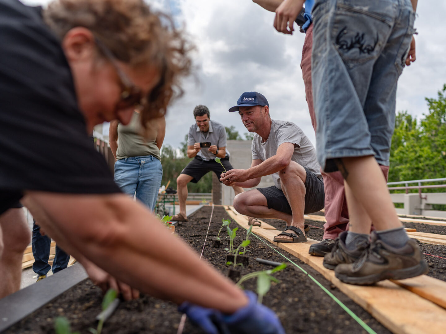 Mehrere Menschen bepflanzen gemeinsam ein Beet; ein Mann hockt mit Setzling in der Hand, andere lockern die Erde und setzen Jungpflanzen.