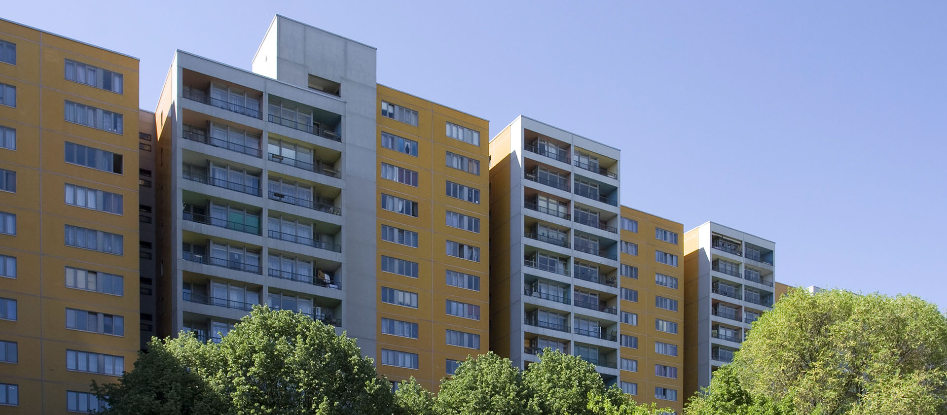 Gelb-graue Wohnhochhäuser mit vielen Balkonen ragen hinter grünen Bäumen in den Himmel, vor klarem blauen Himmel.