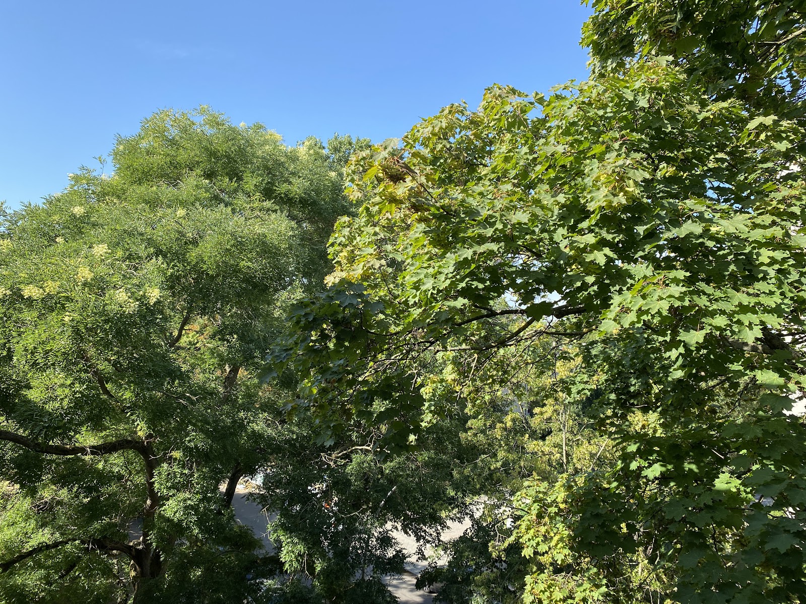 تصویر Wohnen in Charlottenburg Nord – Wohnberechtigungsschein erforderlich!