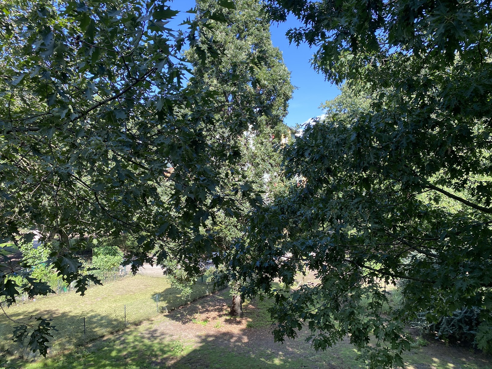 Ausblick