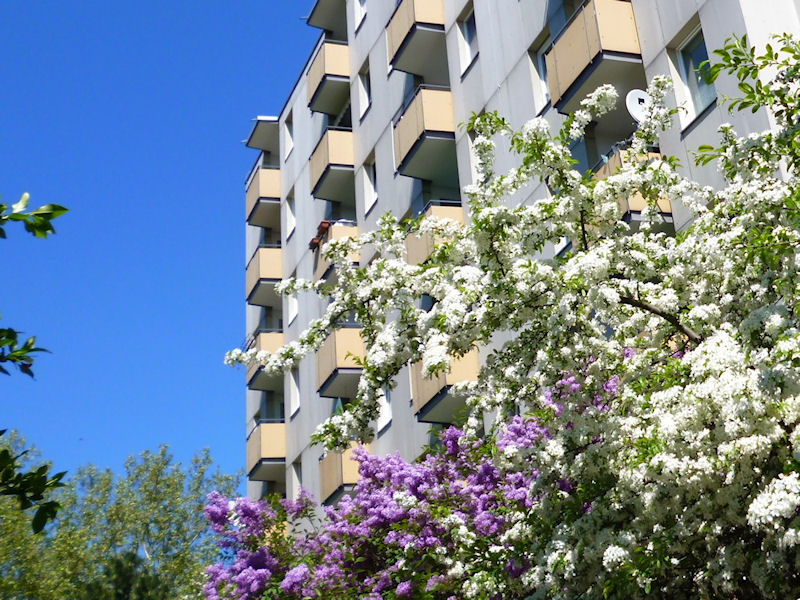 تصویر 2-Zimmer-Wohnung mit Balkon und Duschbad