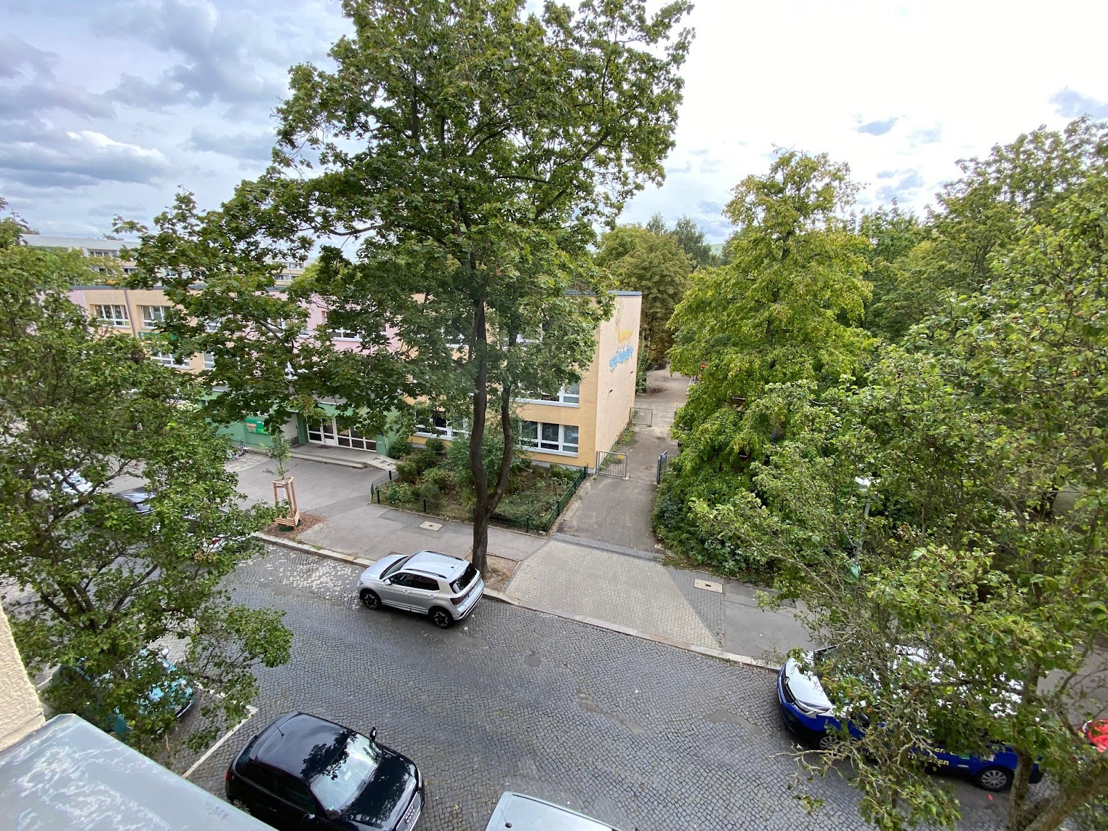 Ausblick zur Straße