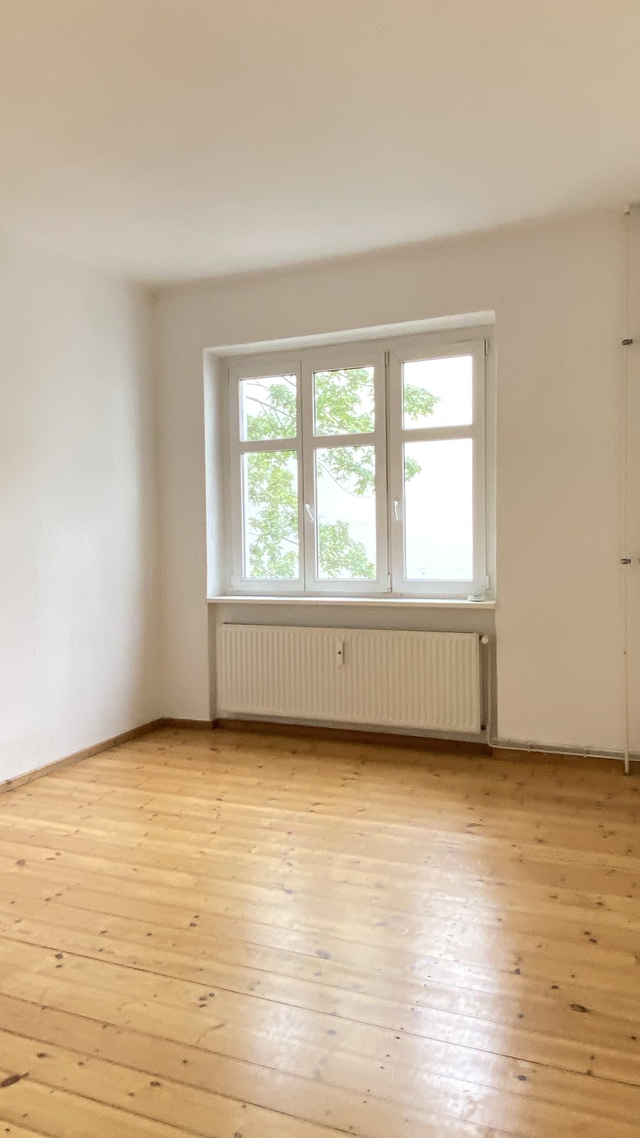 Zimmer