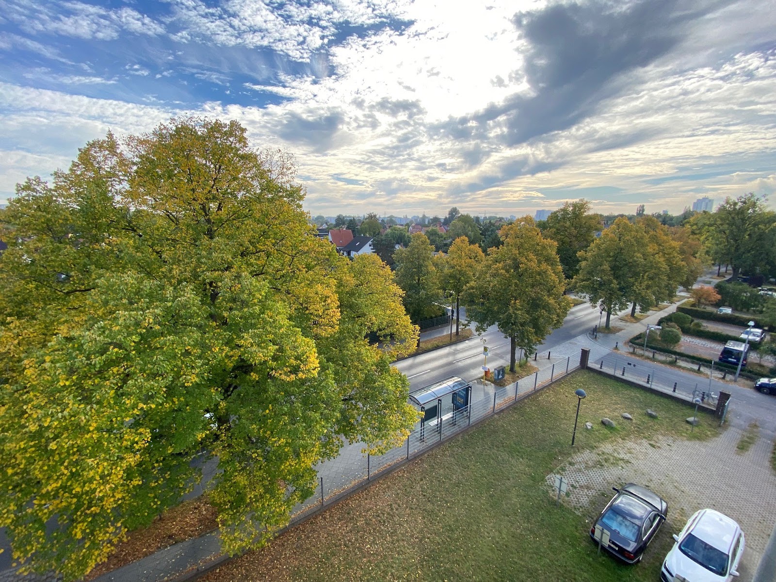 Ausblick zur Straße