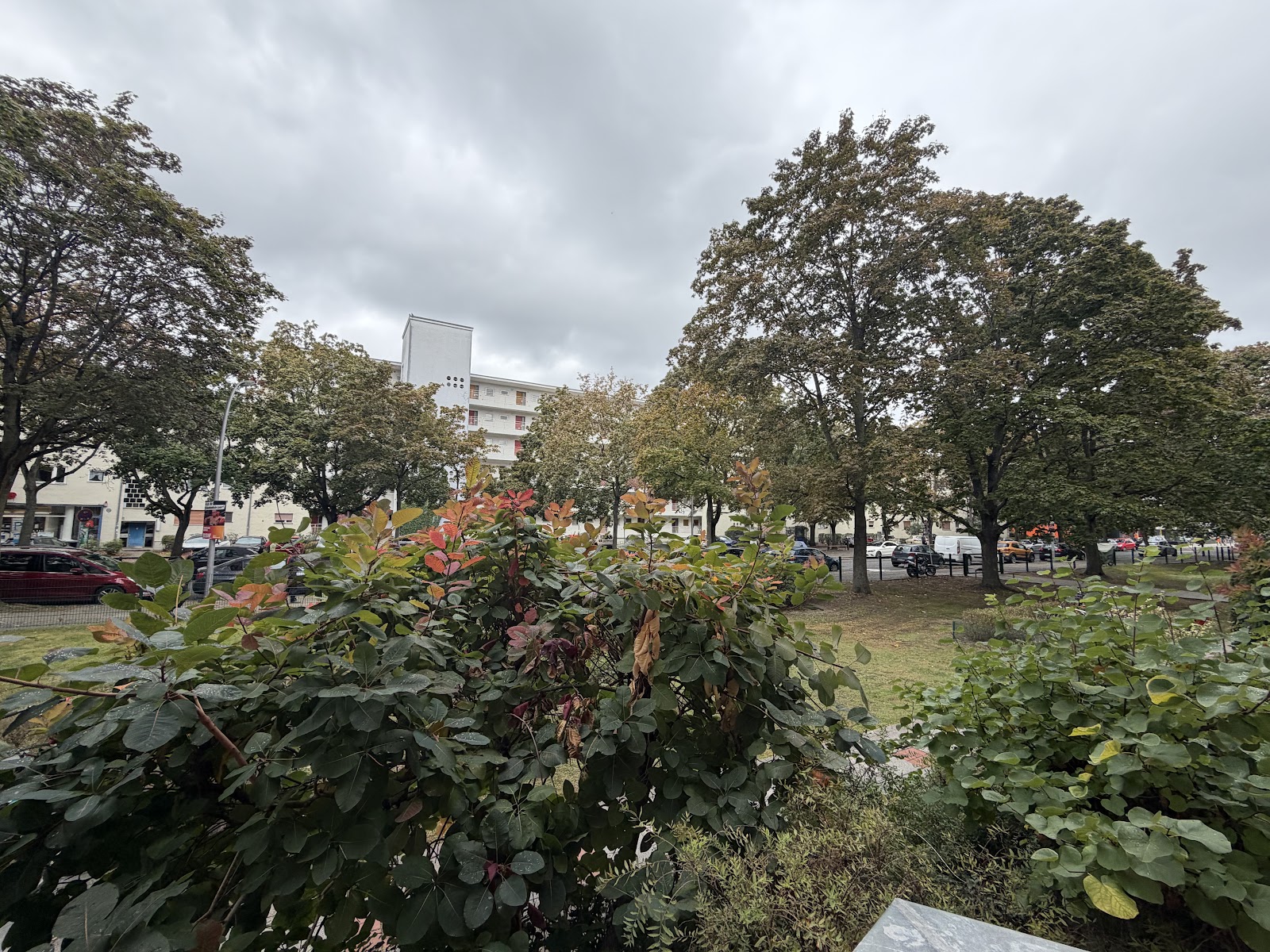 Ausblick