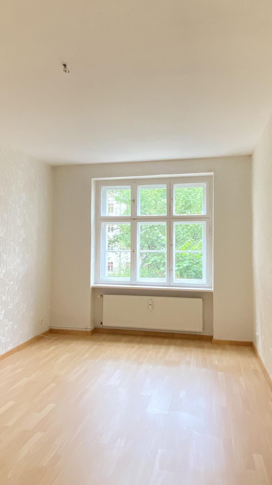 Zimmer