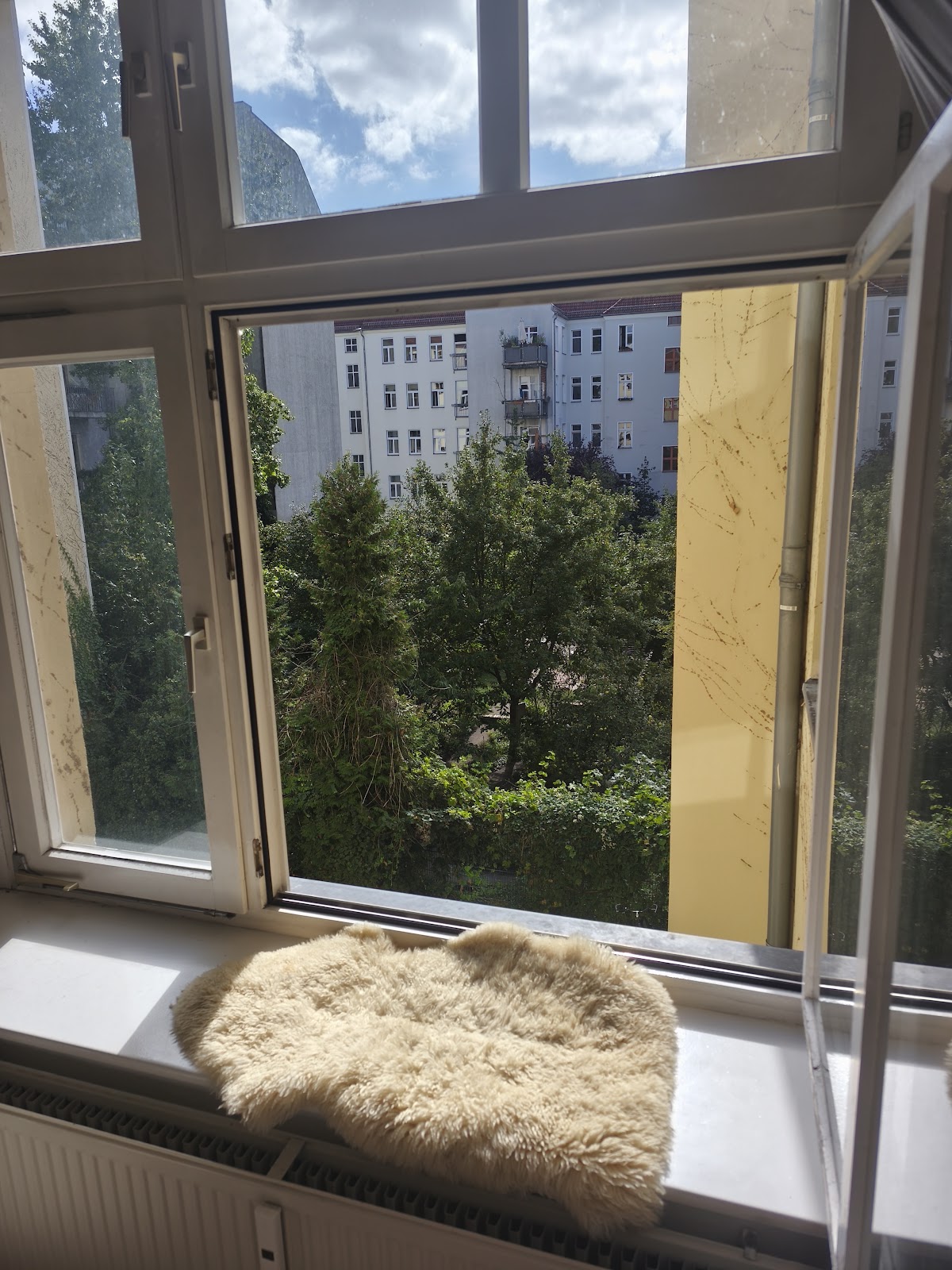 Ausblick