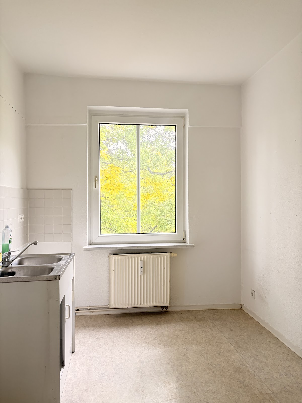 تصویر 3 Zimmer ohne WBS · Ostseestr. 75, 10409 Berlin