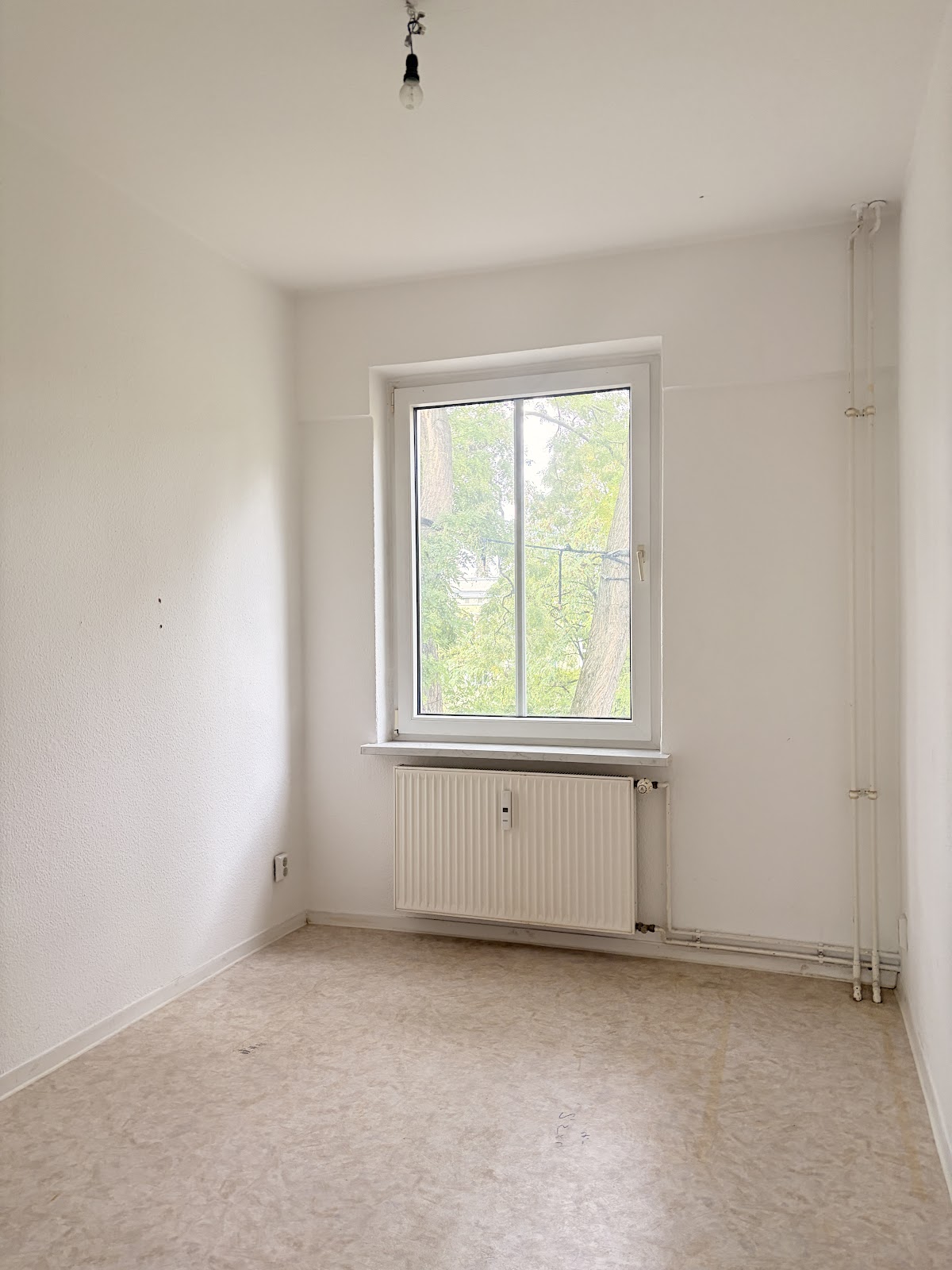 تصویر 3 Zimmer ohne WBS · Ostseestr. 75, 10409 Berlin