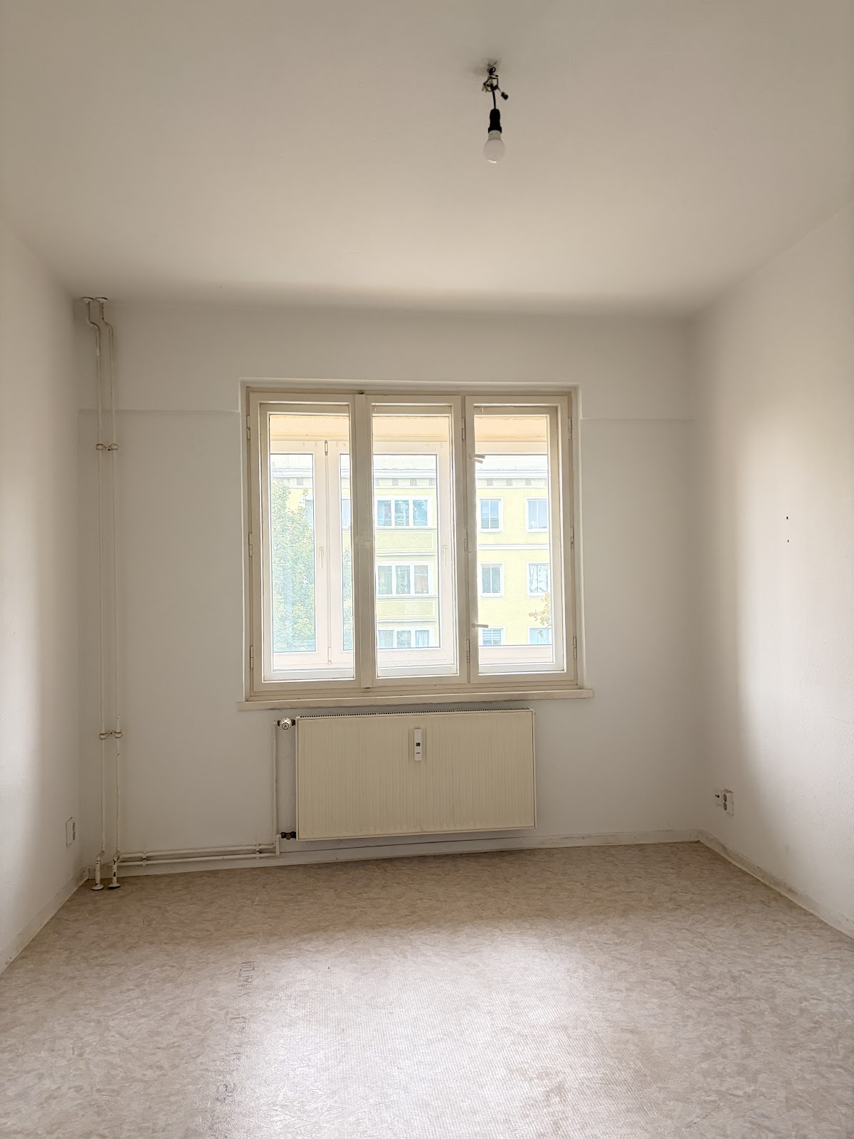 تصویر 3 Zimmer ohne WBS · Ostseestr. 75, 10409 Berlin