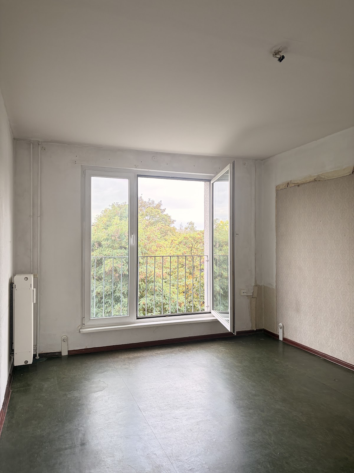 تصویر 2,5 Zimmer ohne WBS · Ostseestr. 22, 10409 Berlin