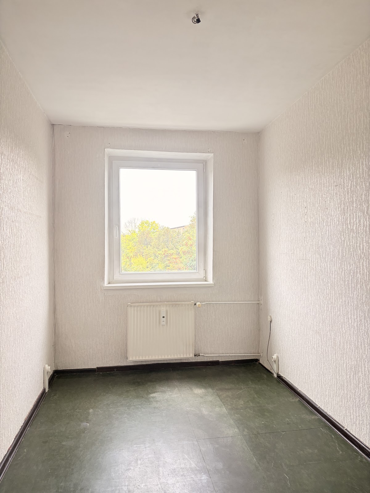 تصویر 2,5 Zimmer ohne WBS · Ostseestr. 22, 10409 Berlin