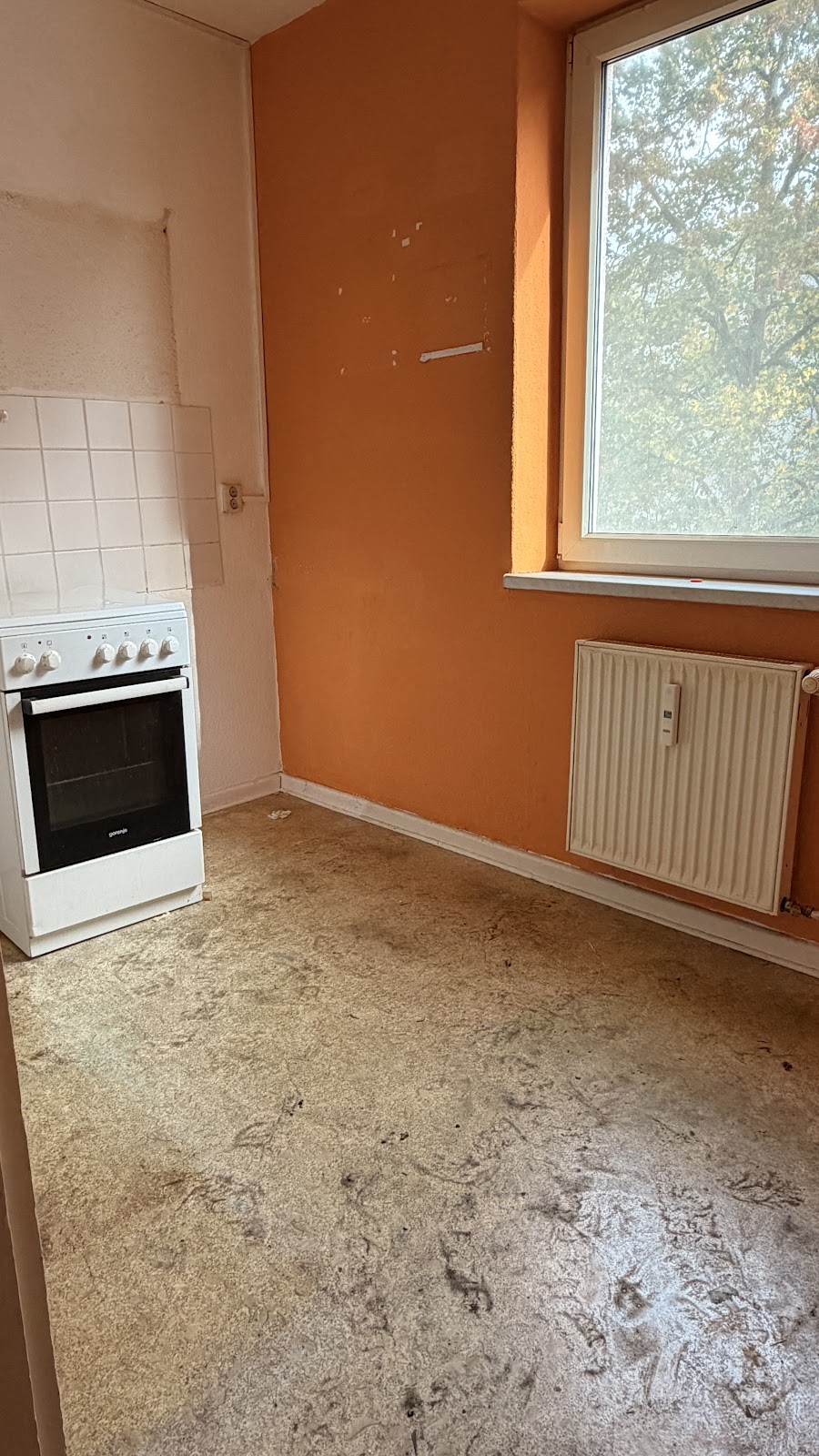 تصویر 2,5-Zimmerwohnung ohne WBS