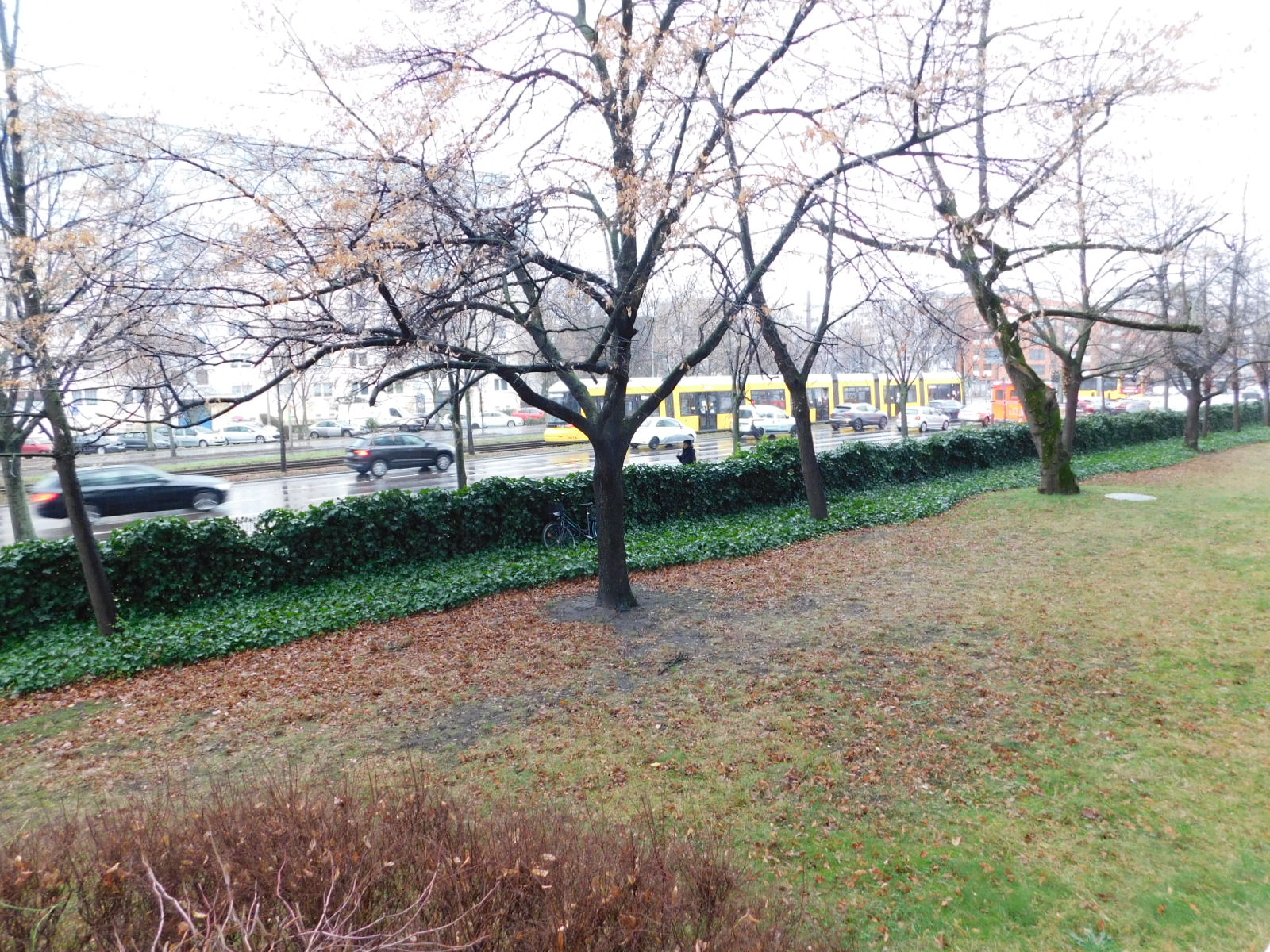Ausblick