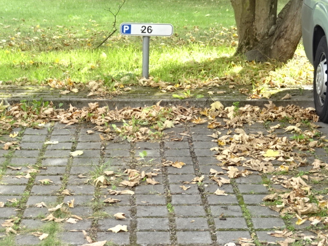 Parkplatz_Beispiel
