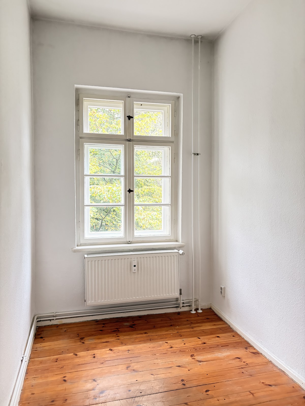 تصویر 2,5 Zimmer ohne WBS · Grellstr. 63, 10409 Berlin
