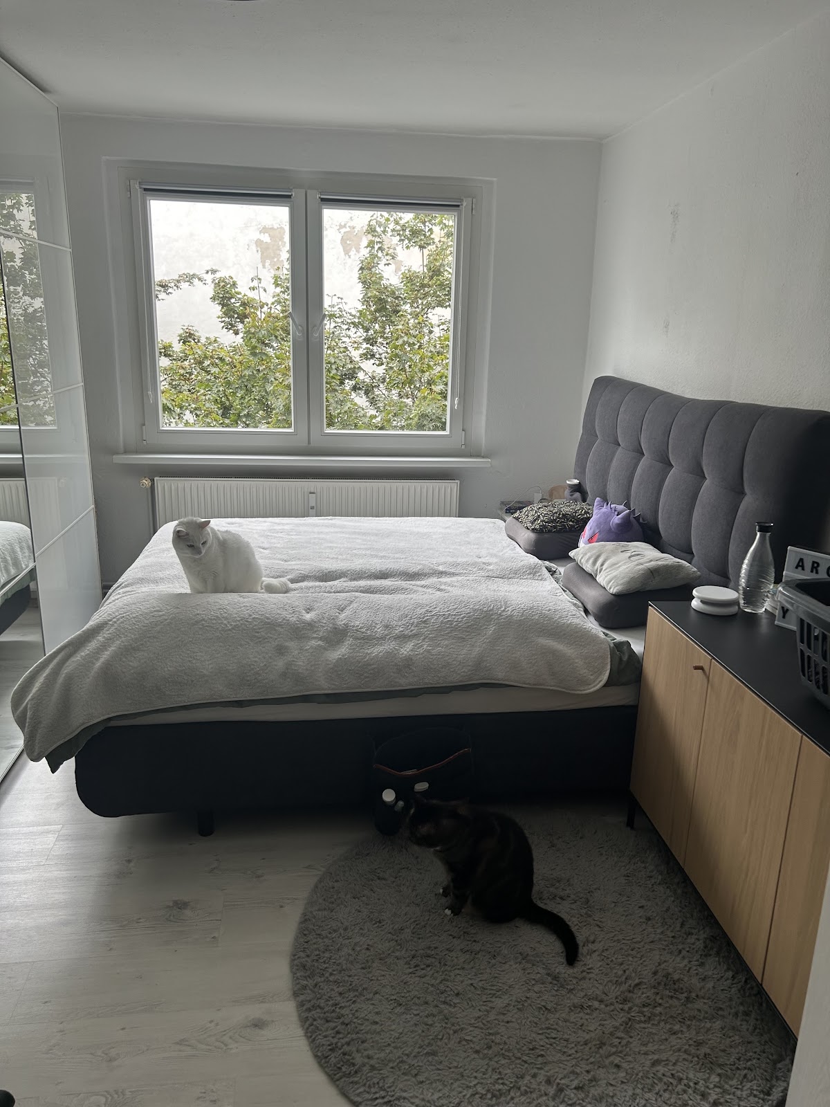 Schlafzimmer 2