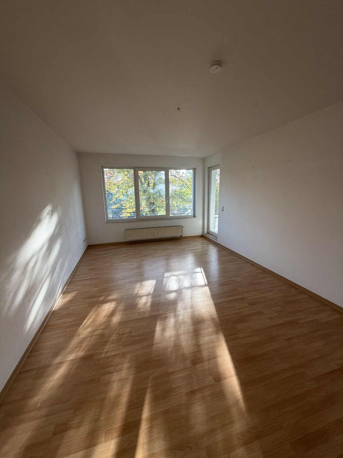 Zimmer