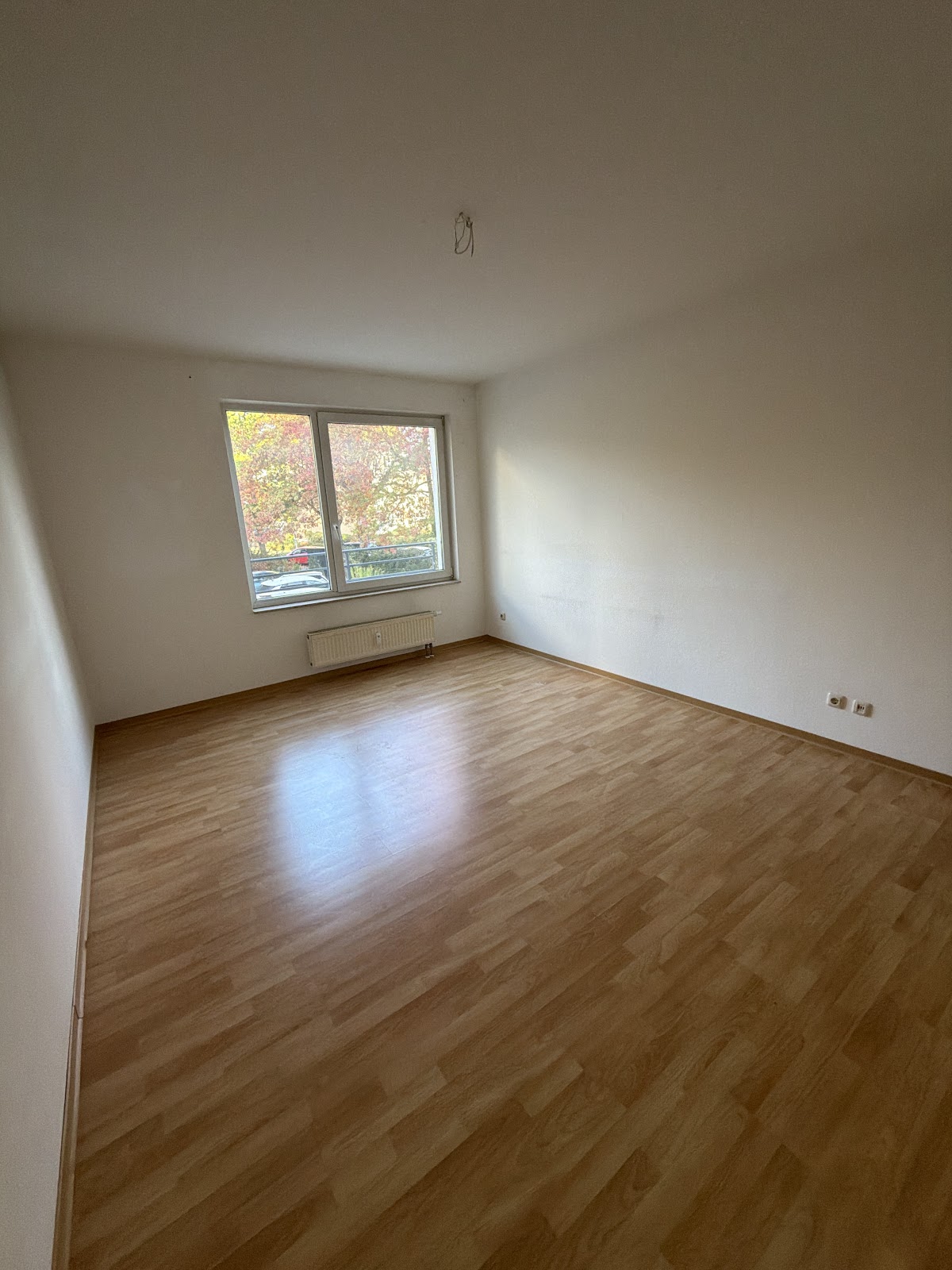 Zimmer