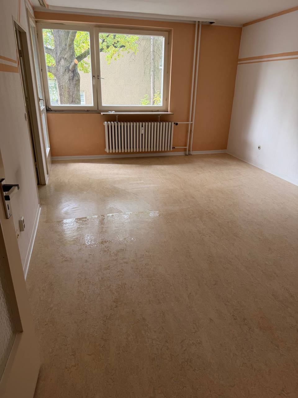 تصویر 1-Zimmer-Wohnung ab 45+ Jahren in Lichterfelde Süd